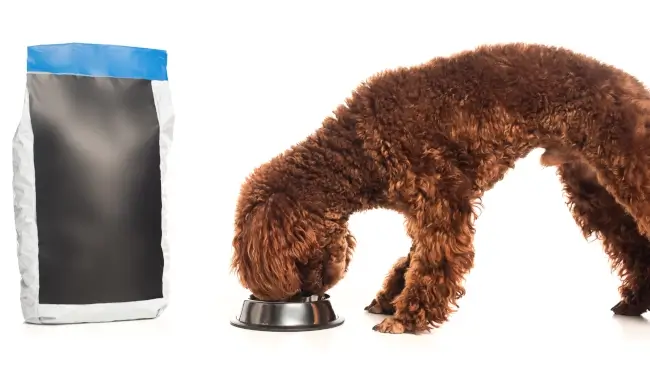 Labels for dog food