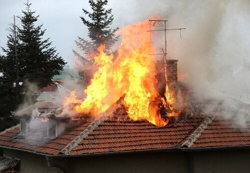 A house roof on fire and smoke. keep cavapoo safe
