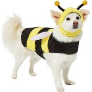 Bumblebee chewy